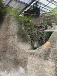 神戸どうぶつ王国に投稿された画像（2026/4/19）