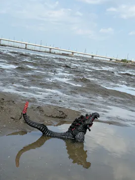 金田みたて海岸潮干狩り場に投稿された画像（2026/4/19）