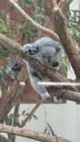 こども動物自然公園（埼玉県公園緑地協会）に投稿された画像（2026/4/19）