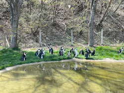 那須どうぶつ王国に投稿された画像（2026/4/19）