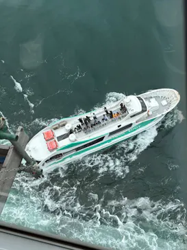 徳島県立 渦の道に投稿された画像（2026/4/19）