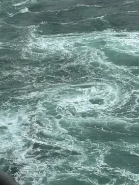 徳島県立 渦の道に投稿された画像（2026/4/19）