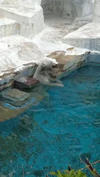 天王寺動物園に投稿された画像（2026/4/19）