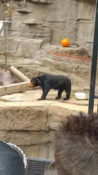 天王寺動物園に投稿された画像（2026/4/19）