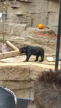 天王寺動物園に投稿された画像（2026/4/19）