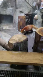 天王寺動物園に投稿された画像（2026/4/19）