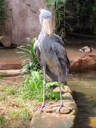 那須どうぶつ王国に投稿された画像（2026/4/19）