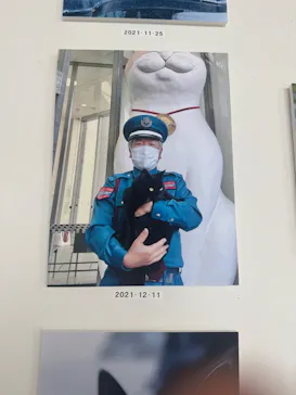 尾道市立美術館に投稿された画像（2026/4/19）
