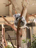 多摩動物公園に投稿された画像（2026/4/19）
