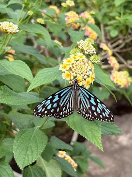 多摩動物公園に投稿された画像（2026/4/19）