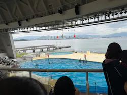 マリンワールド海の中道に投稿された画像（2026/4/19）