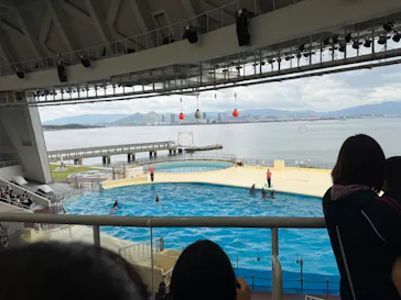 マリンワールド海の中道に投稿された画像（2026/4/19）