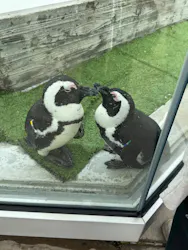 マリンワールド海の中道に投稿された画像（2026/4/19）