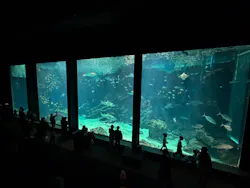 マリンワールド海の中道に投稿された画像（2026/4/19）