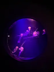 マリンワールド海の中道に投稿された画像（2026/4/19）