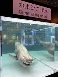 沖縄美ら海水族館に投稿された画像（2026/4/19）