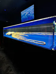 沖縄美ら海水族館に投稿された画像（2026/4/19）