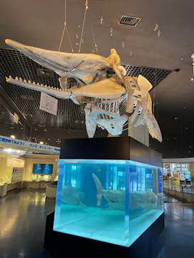 沖縄美ら海水族館に投稿された画像（2026/4/19）