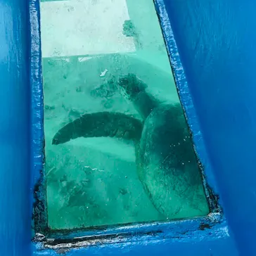 ヨロン島シーマンズクラブに投稿された画像（2026/4/19）