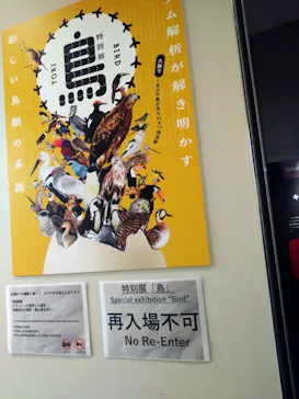 特別展「鳥 ～ゲノム解析が解き明かす新しい鳥類の系統～」に投稿された画像（2026/4/19）