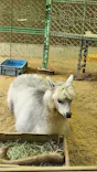 天王寺動物園に投稿された画像（2026/4/19）