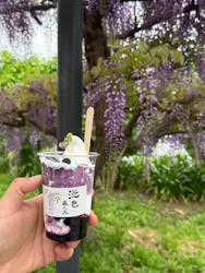 万博記念公園に投稿された画像（2026/4/19）