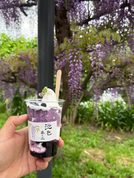 万博記念公園に投稿された画像（2026/4/19）