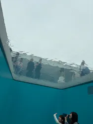 金沢21世紀美術館に投稿された画像（2026/4/19）