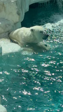 恩賜上野動物園に投稿された画像（2026/4/19）