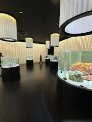 NIFREL（ニフレル）に投稿された画像（2026/4/19）