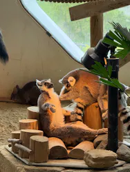 NIFREL（ニフレル）に投稿された画像（2026/4/19）