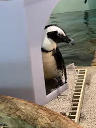 NIFREL（ニフレル）に投稿された画像（2026/4/19）