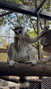 ANIMAL WONDER REZOURT 市原ぞうの国・サユリワールドに投稿された画像（2026/4/19）