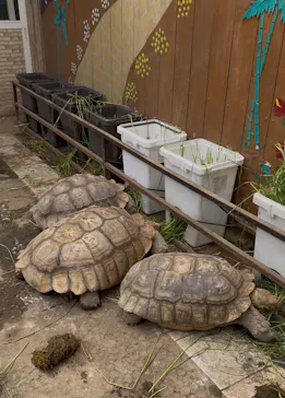 ANIMAL WONDER REZOURT 市原ぞうの国・サユリワールドに投稿された画像（2026/4/19）