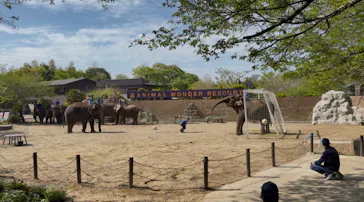 ANIMAL WONDER REZOURT 市原ぞうの国・サユリワールドに投稿された画像（2026/4/19）
