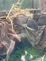 サンシャイン水族館に投稿された画像（2026/4/19）