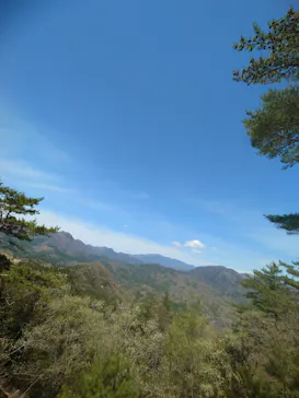 昇仙峡ロープウェイに投稿された画像（2026/4/19）