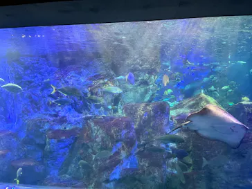 大分マリーンパレス水族館 「うみたまご」に投稿された画像（2026/4/19）