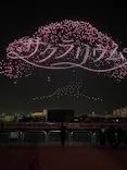サクラリウムに投稿された画像（2026/4/19）