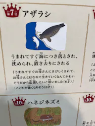 サンシャイン水族館に投稿された画像（2026/4/19）