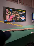 特別展「超危険生物展　科学で挑む生き物の本気」に投稿された画像（2026/4/19）
