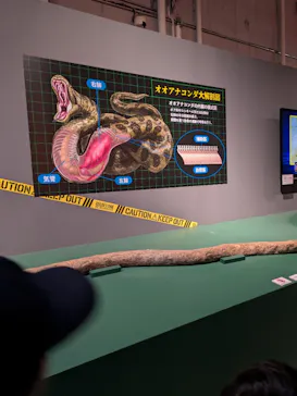 特別展「超危険生物展　科学で挑む生き物の本気」に投稿された画像（2026/4/19）