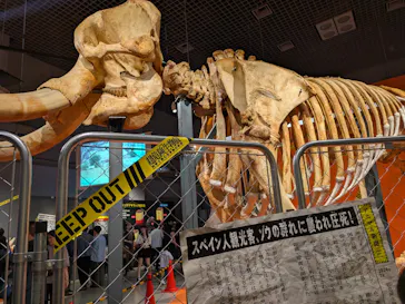 特別展「超危険生物展　科学で挑む生き物の本気」に投稿された画像（2026/4/19）