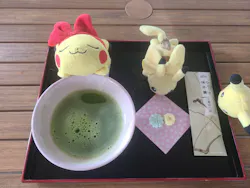 東京国立博物館に投稿された画像（2026/4/19）