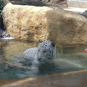 いしかわ動物園に投稿された画像（2026/4/19）