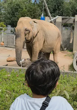 いしかわ動物園に投稿された画像（2026/4/19）