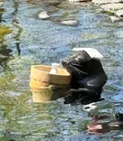 箱根園水族館に投稿された画像（2026/4/20）