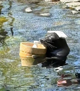 箱根園水族館に投稿された画像（2026/4/19）