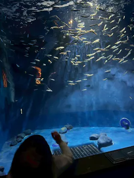 新江ノ島水族館に投稿された画像（2026/4/19）