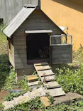 千葉市動物公園に投稿された画像（2026/4/20）